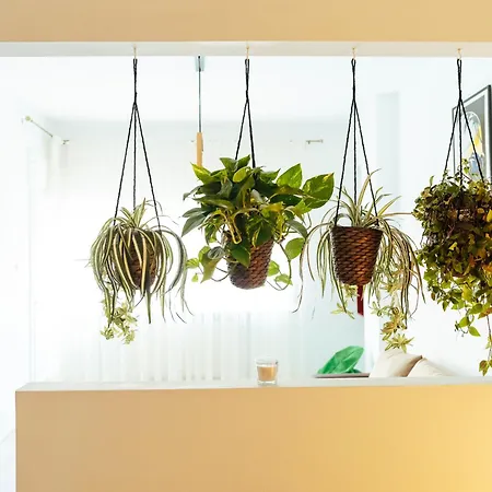 Old Town - Historic Area *