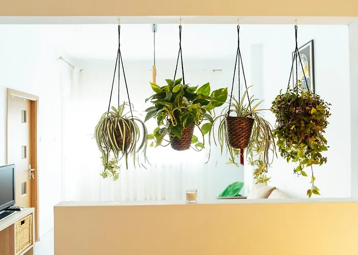 Old Town - Historic Area *